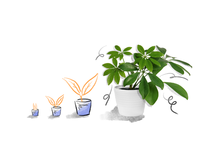 plant-color-illustration